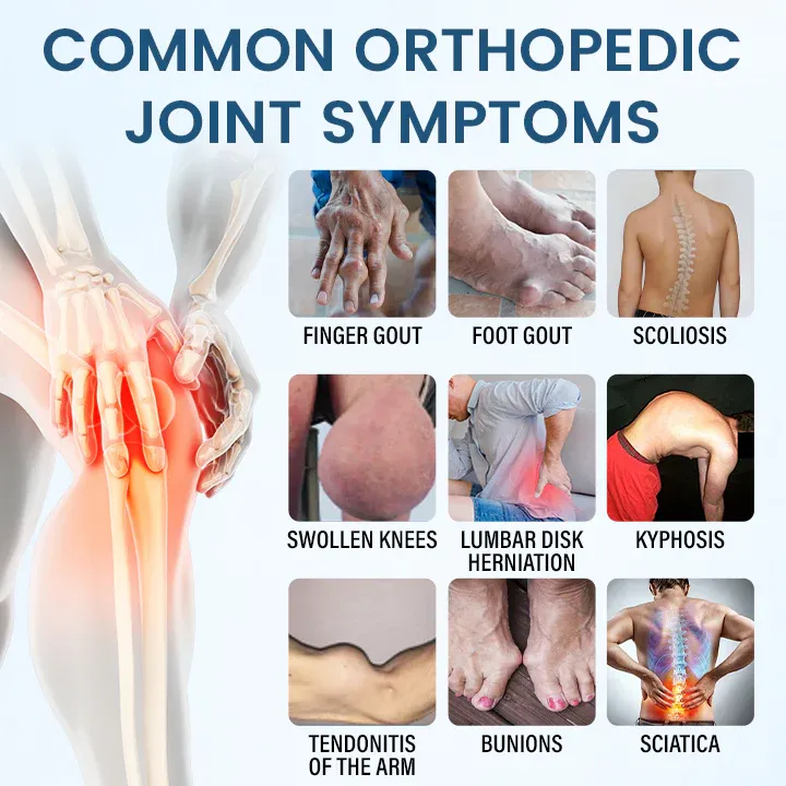 imgi_100_5_5ad97680-9769-4573-bd66-49290a91bd3f