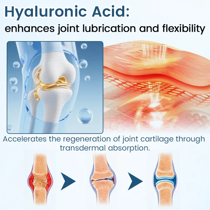 imgi_106_10_20c8c6d5-cb47-4c61-8638-ebb33f0e0950