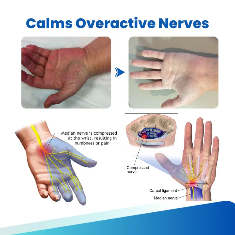 imgi_84_8_7eb3e664-27b0-4c9e-a7f6-4b20375d97b2